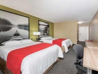 Hotel Super 8 By Wyndham Mont Laurier